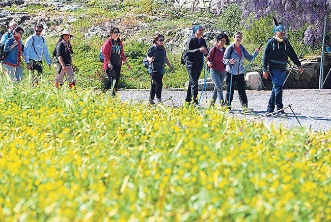 8 bin yıllık tarihi rota Efes-Mimas Yolu