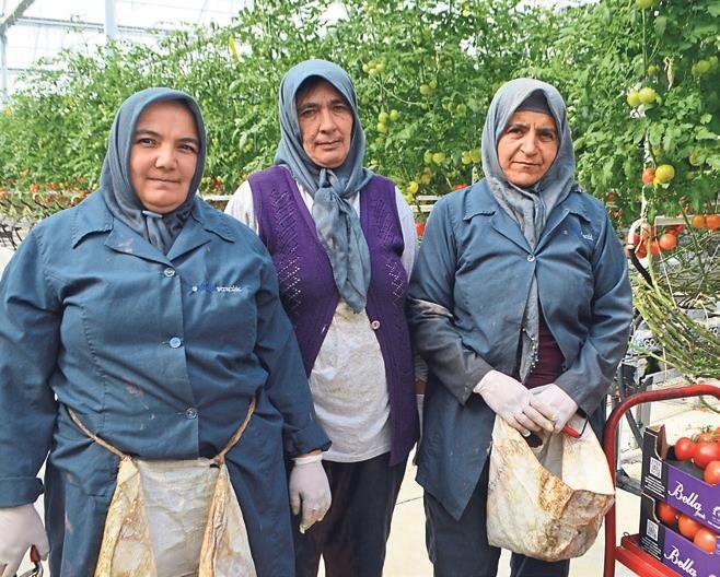 Patrondan serada okuma yazma kursu