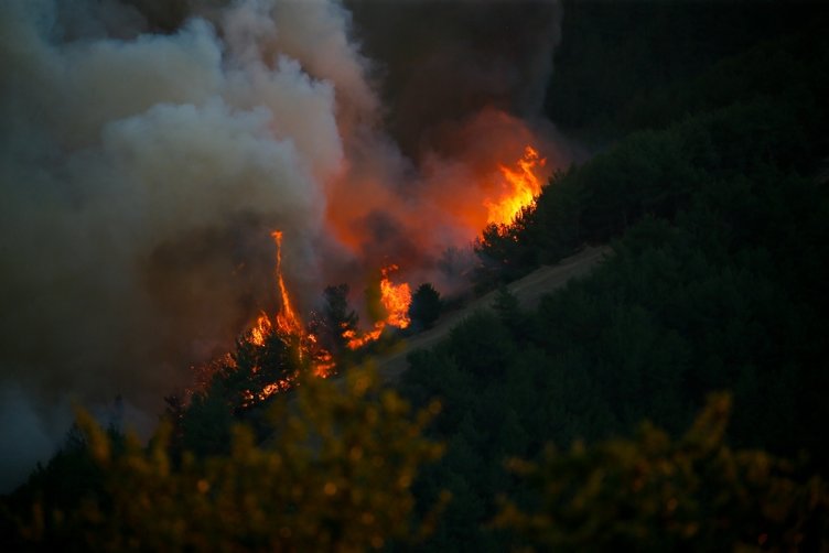 İzmir’deki orman yangınında son durum