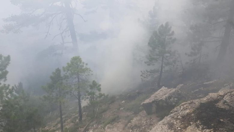 Denizli’de yıldırım düşmesi sonucu orman yangını