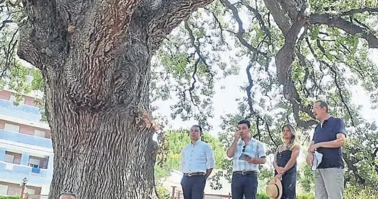 Aydın’da 117 anıt ağaç koruma altında