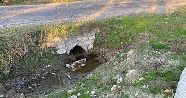 Boş arazide bebek cesedi bulundu!
