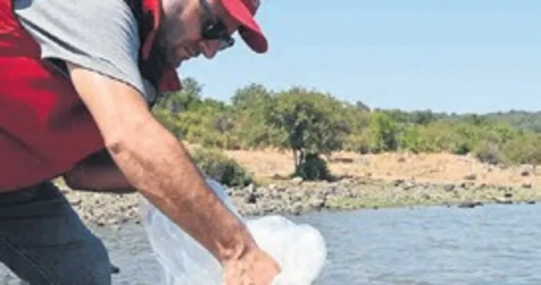 1.2 milyon yavru balık baraj ve göllere bırakıldı