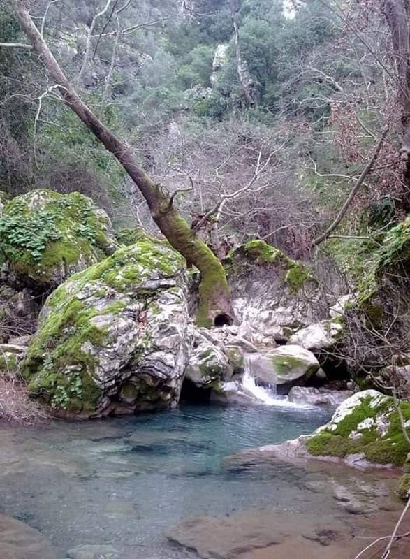 Marmaris İçmeler Kanyonu’nda doğa tahribatı! Gençler seferber oldu