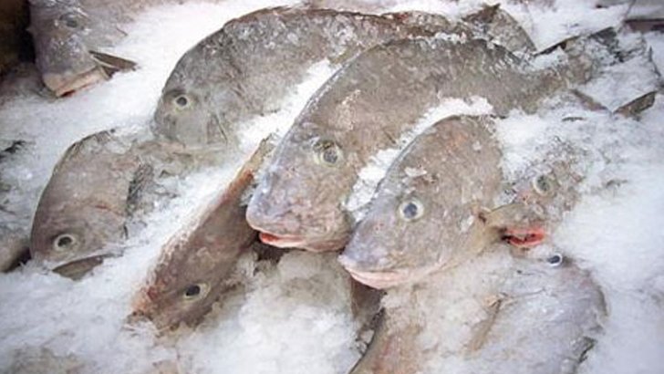 Donmuş gıdalar için kanser uyarısı! Donmuş gıdaların zararları!