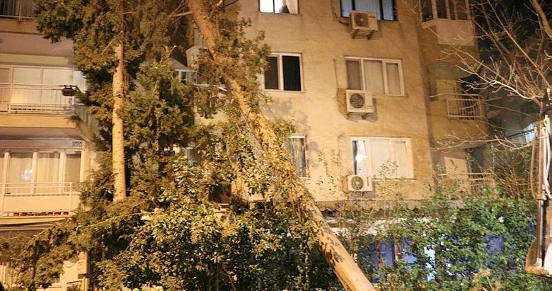 İzmir’de şiddetli rüzgar kabusu! Ağaçlar devrildi, çatılar uçtu, araçlar zarar gördü
