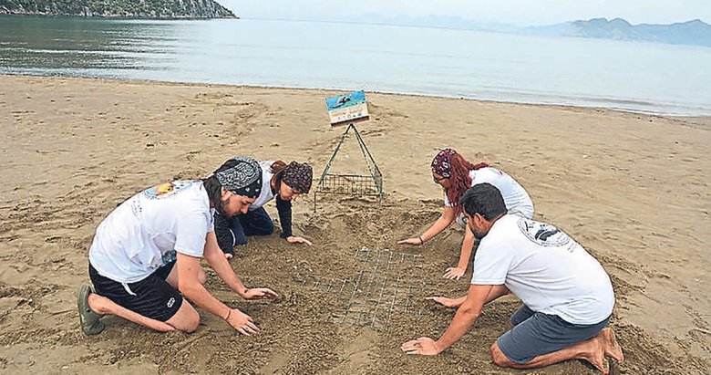 Caretta carettalar için sessizlik çağrısı