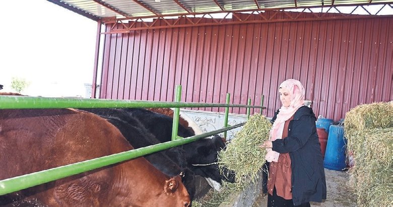 Devlet desteği alan genç kadın besiciliğe başladı