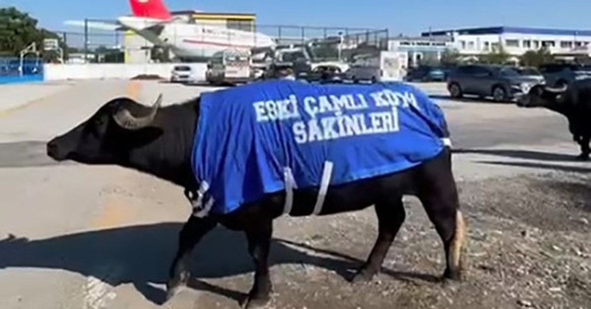 İzmir sokaklarında mandalı protesto!