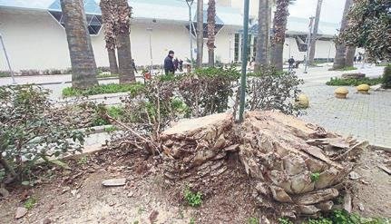 Yeşile bir darbe de İzmir’de vuruldu