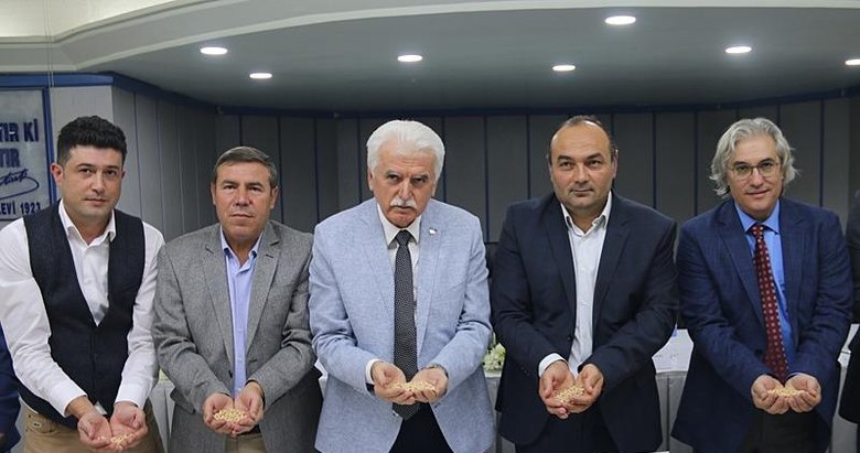 Denizli’den nohut atağı: ithalata gerek kalmayacak