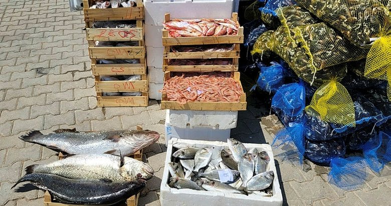 Kaçak balık ve midye taşıyan şüpheliye 10 bin 811 lira ceza