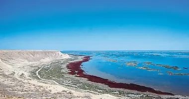 Bir damla için büyük mücadele