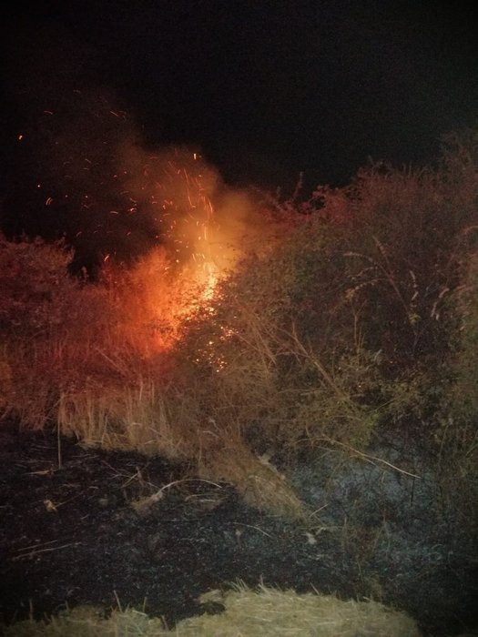 İzmir’deki esrarengiz yangınların sonu gelmiyor! 6 köyün zeytinliği yandı!