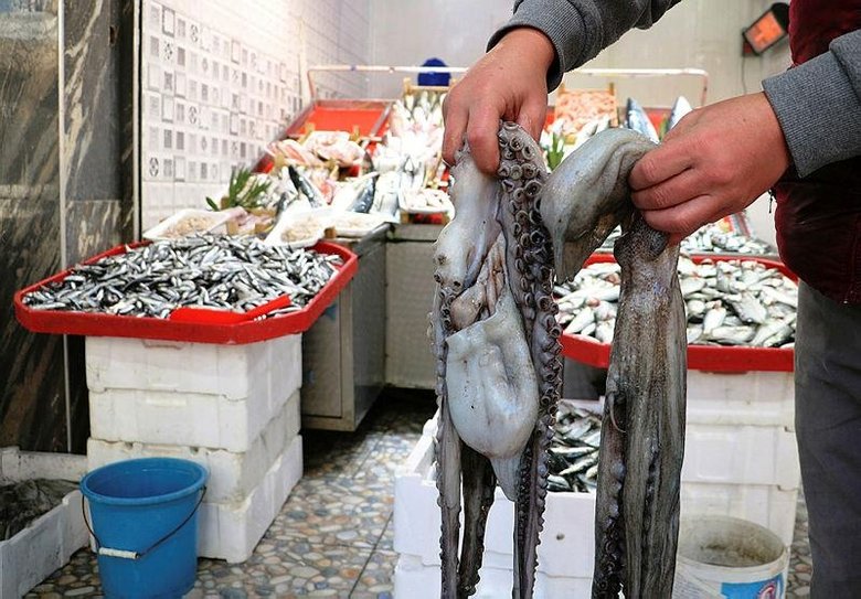 Kilogram fiyatı 55 liraya düşen ahtapot tezgahların gözdesi oldu