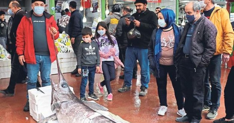 2,5 metrelik kılıç balığı 1 saatte satıldı