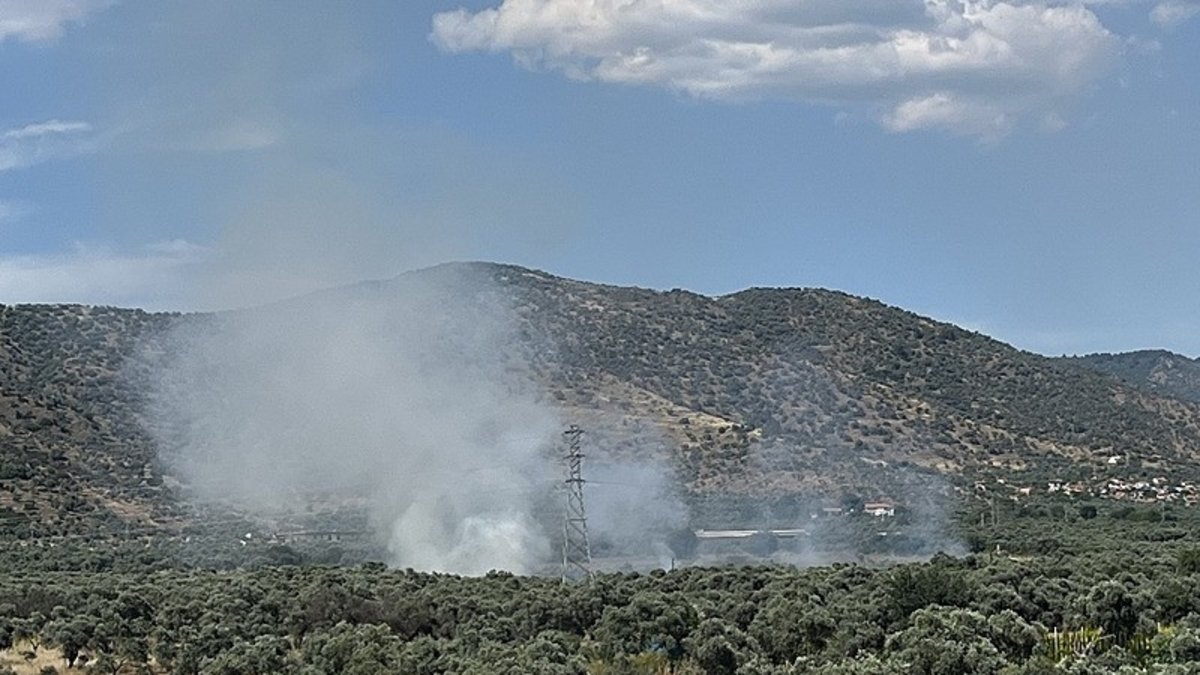 İzmir'de orman yangını!