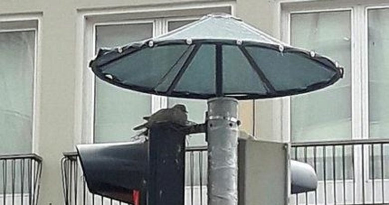 İzmir’den insanlık dersi! Yuvaya konulan şemsiye yenilendi