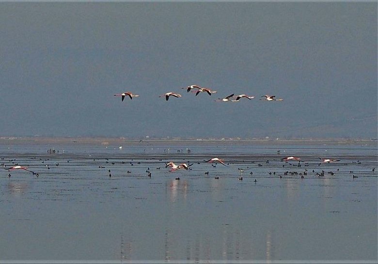 Kuraklıktan tamamen kurumuştu! Marmara Gölü’nü kurtaracak proje
