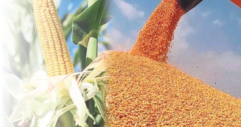 Mısır’da fiyat artışına ithalat çözümü