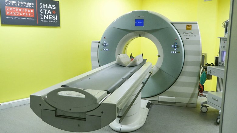 hastanede-saskina-ceviren-goruntu-mr-cihazina-ayi-girdi-1756813362734.jpg