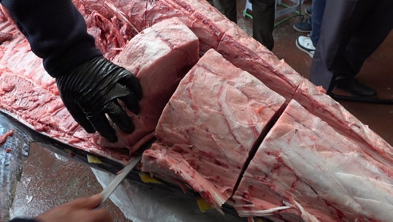 İzmir’de 450 kiloluk orkinos yakalandı! Dev orkinos 22 bin 500 TL’ye satıldı