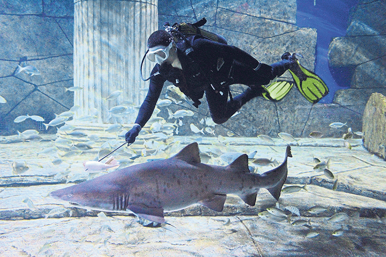 Akvaryumun en şımarığı Odin