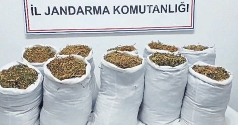 Aydın’da çuval çuval uyuşturucu ele geçirildi