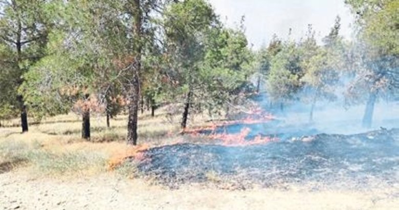 Pamukkale’de orman yangını korkuttu