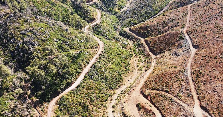 Binlerce hektar alan küle dönmüştü! Muğla’da sevindiren görüntü