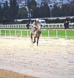 TSYD İzmir Koşusu Queen Sev’in