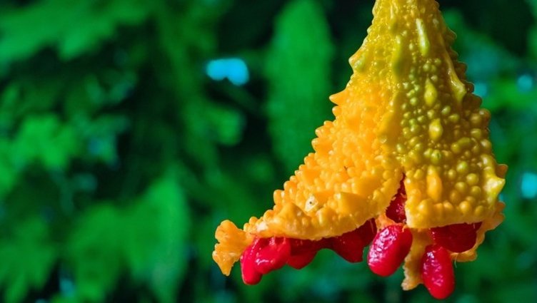 Sabah akşam bir tatlı kaşığı kadar tüketin! Mide problemlerine veda edin