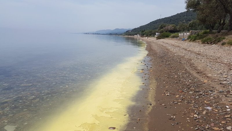 Assos Sahilinde Tedirgin Eden Goruntu Canakkale Haberleri