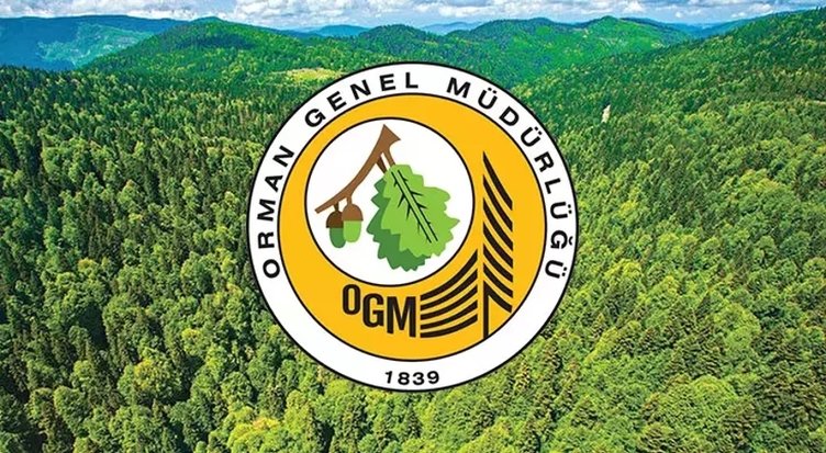 Orman Genel Müdürlüğü 170 personel alacak! OGM personel alım ekranı...