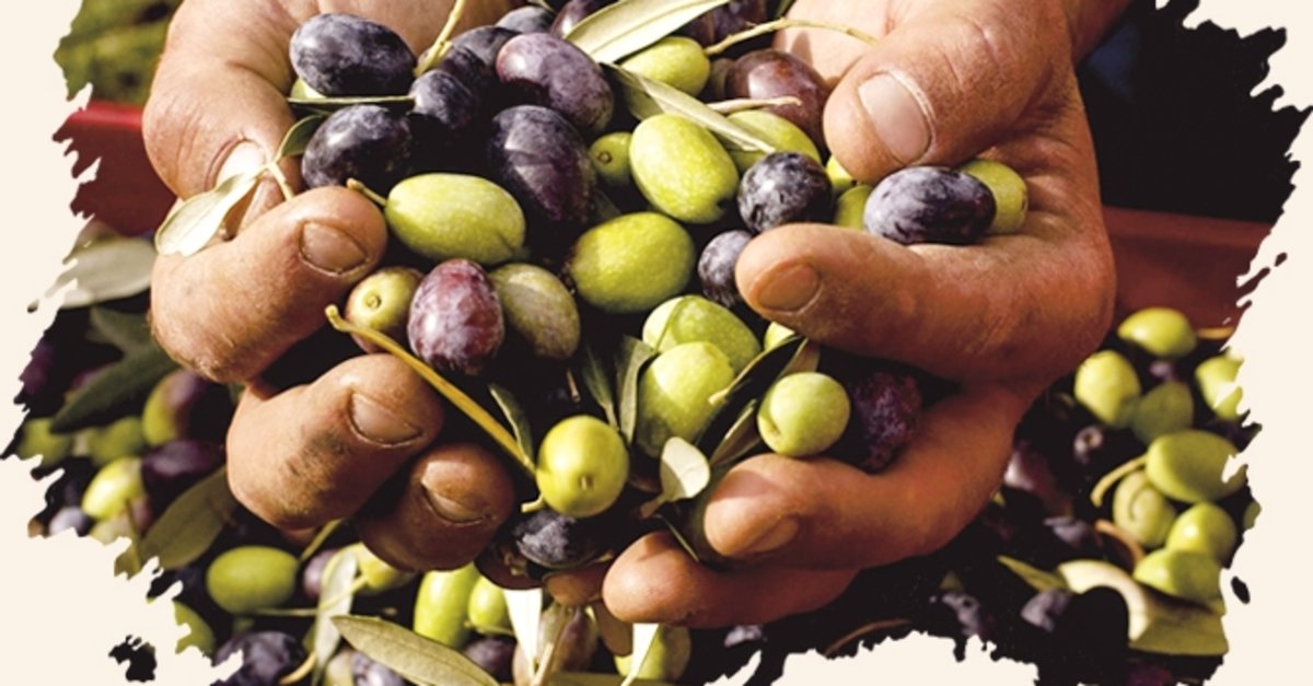 ‘Babamın hayalini dünyaya tanıttım’