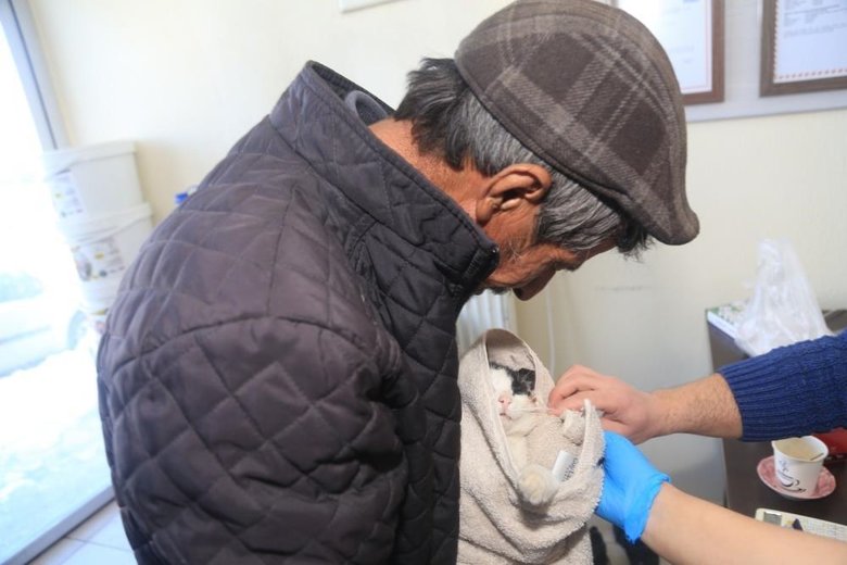 Aç kalan vaşak ilçe merkezine indi kediyi parçaladı