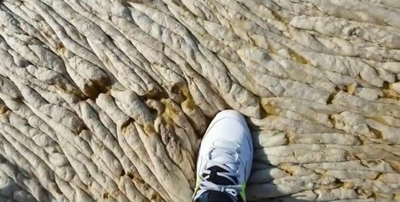 Tatilcilere müsilaj uyarısı: Temas etmeyin