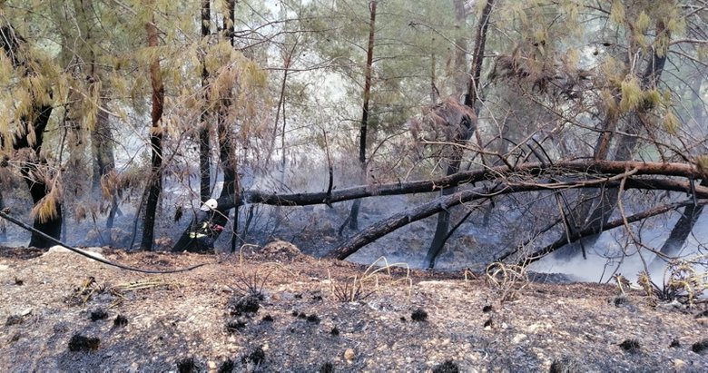 Fethiye’de çıkan orman yangını söndürüldü