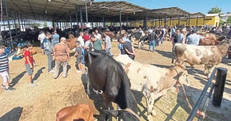 Hayvan pazarlarına şap tedbirleri getirildi