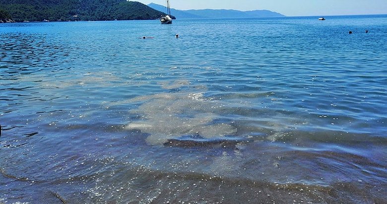 Muğla’daki dünyaca ünlü koyda sintine boşaltılması şok yaşattı