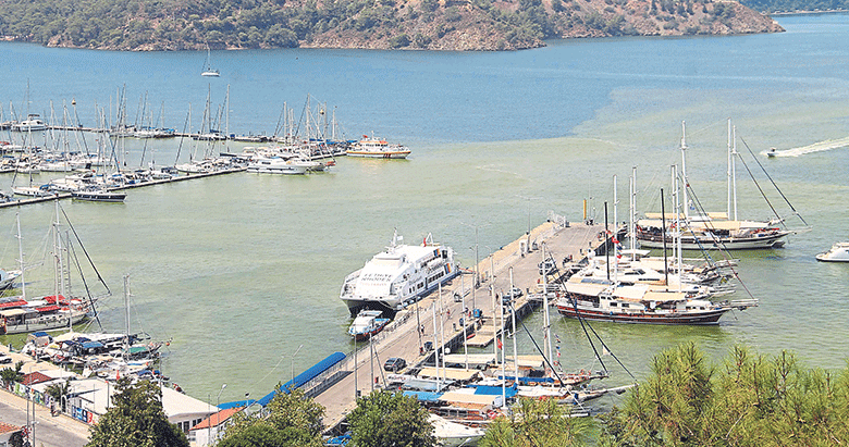 Chp Li Alim Karaca Dan Itiraf