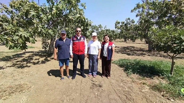 incirin-baskenti-aydinda-siki-denetim-urunun-kalitesi-icin-sahaya-indiler-1787296457721.jpeg