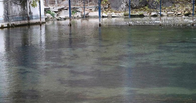 548 kilometrelik Büyük Menderes Nehri’nin sadece 7 kilometresi temiz akıyor
