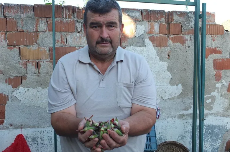 pazarda-fiyati-goren-sasiriyor-ureticinin-yuzu-guluyor-1788436826747.png