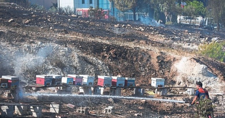 Otluk alanda yangın paniği