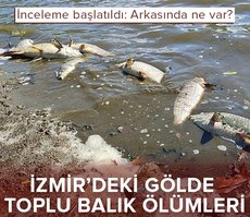 İzmir’deki gölde toplu balık ölümleri! İnceleme başlatıldı: Sebebi nedir?