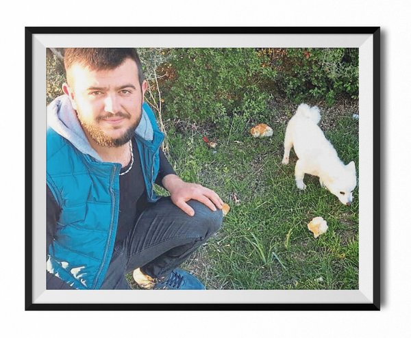 Kuşlar neden öter?