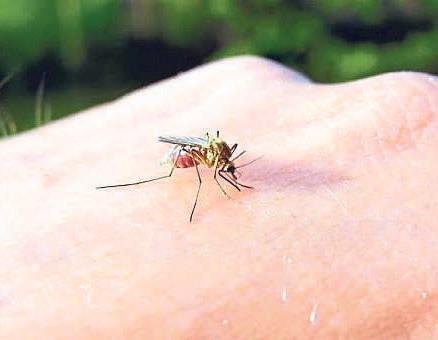 İdrar yolu enfeksiyonuna çare: Kızılcık suyu