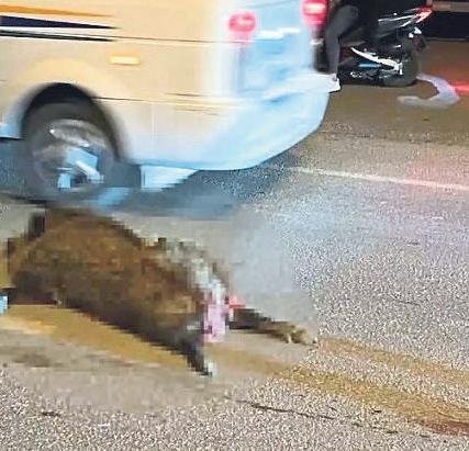 Motosiklet kazaları iki genci hayattan kopardı