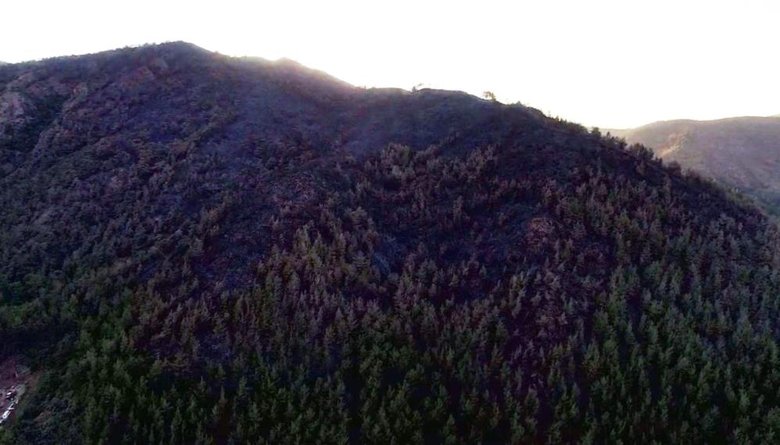 Marmaris’te yürekleri dağlayan kara tablo havadan görüntülendi